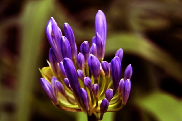 加自身的市 加自身的市