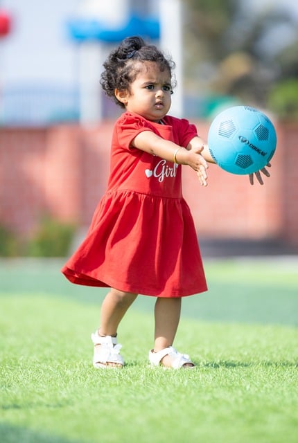 某著名足球 某著名足球