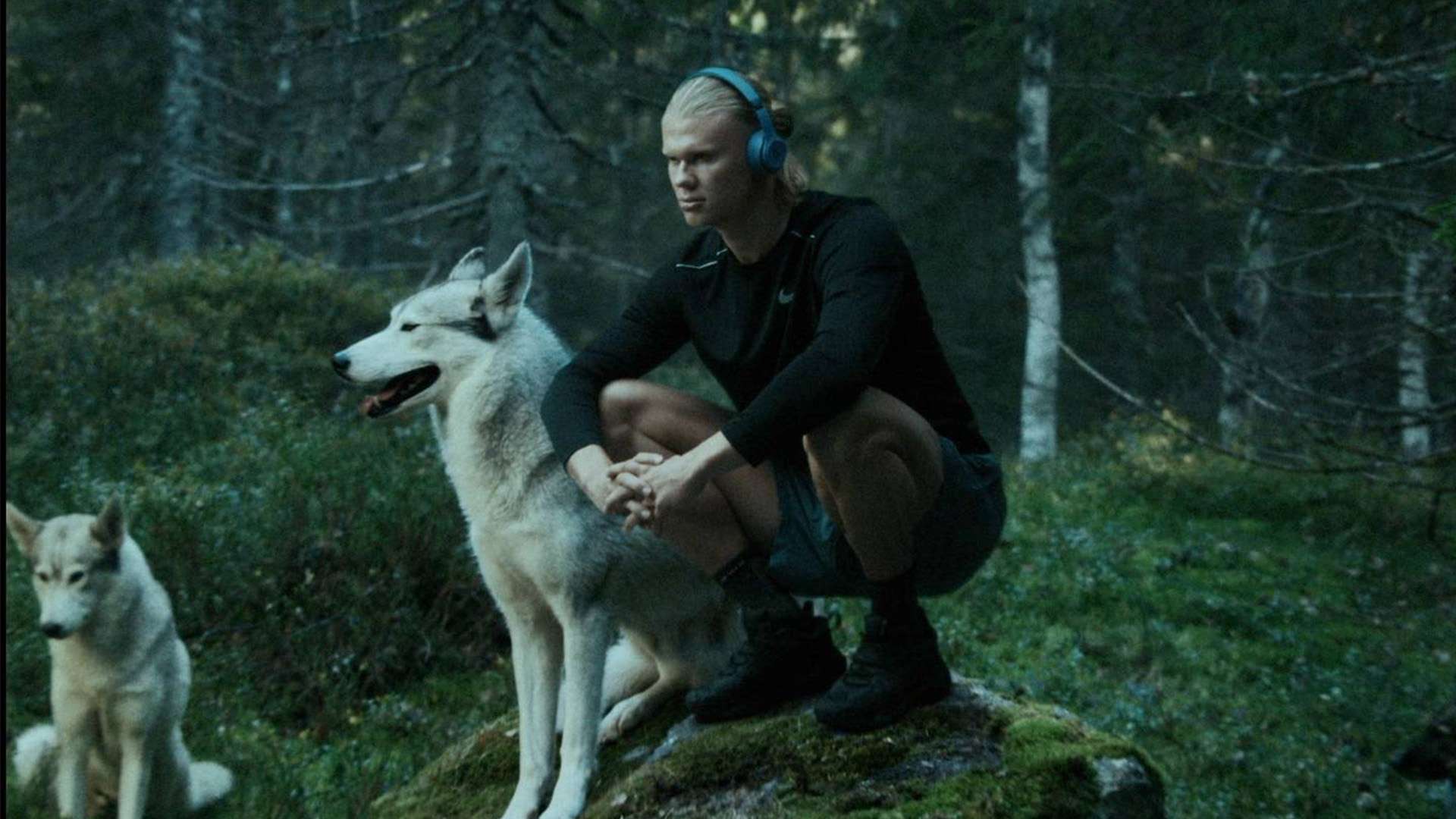 这样的新生 这样的新生